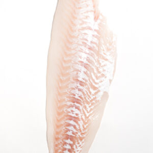 Fresh Medium Haddock Fillet - Image 2
